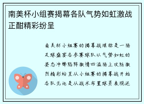 南美杯小组赛揭幕各队气势如虹激战正酣精彩纷呈